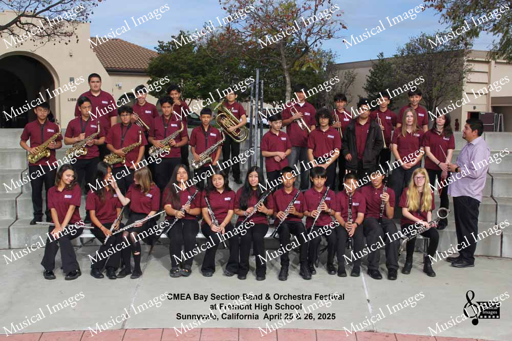 Musical Images